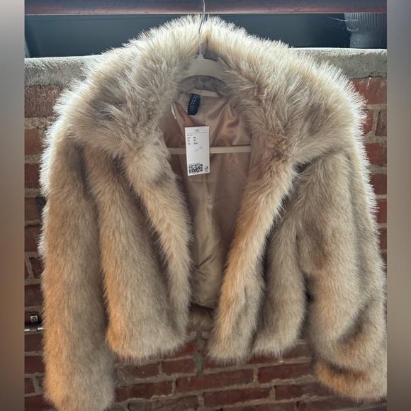 H&M Brown Faux Fur Coat (this season) - Picture 1 of 5